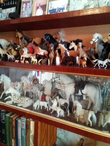 Жительница Новороссийска 30 лет собирает символы Китайского нового года-2026