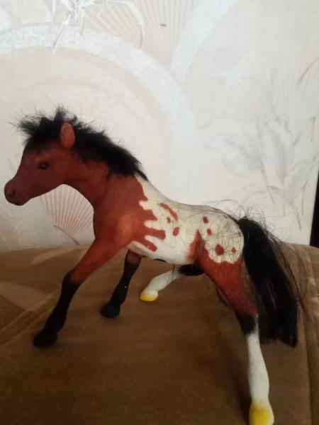 Жительница Новороссийска 30 лет собирает символы Китайского нового года-2026