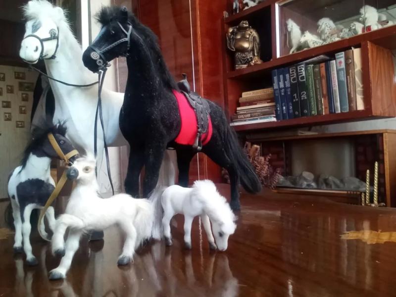 Жительница Новороссийска 30 лет собирает символы Китайского нового года-2026