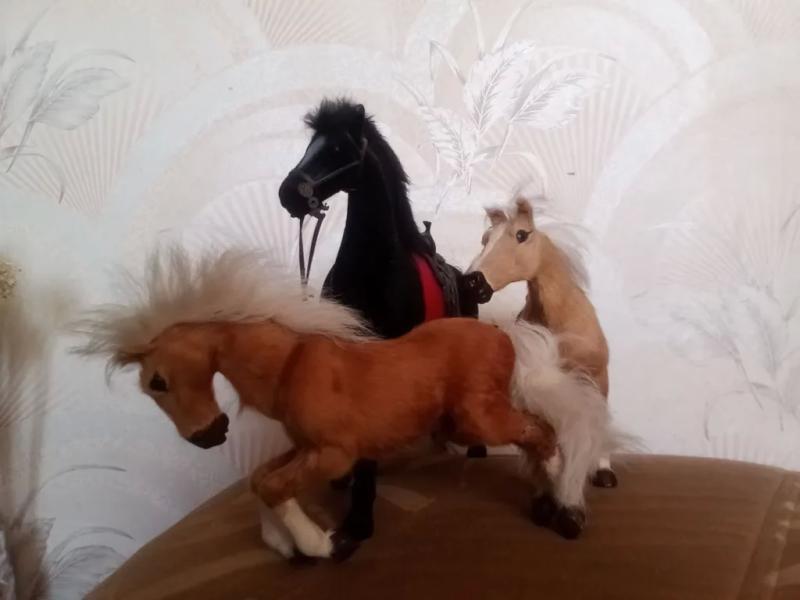 Жительница Новороссийска 30 лет собирает символы Китайского нового года-2026