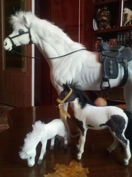 Жительница Новороссийска 30 лет собирает символы Китайского нового года-2026