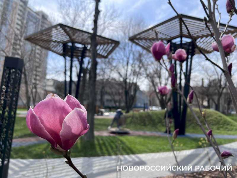 1 марта пришла весна. Ура, перезимовали!
