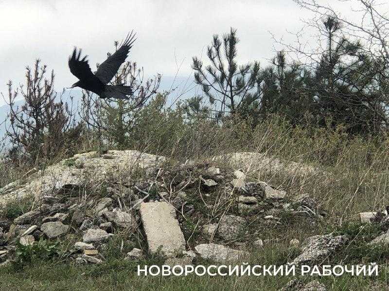 2 марта отмечаем День создания ДНД