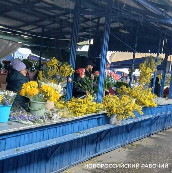 &laquo;Будет только дороже!&raquo; На рынках Новороссийска началась торговля цветами к 8 марта &nbsp;