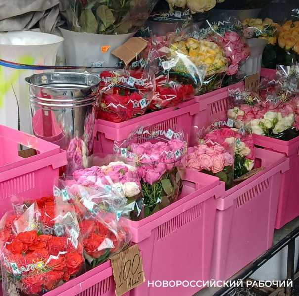 &laquo;Будет только дороже!&raquo; На рынках Новороссийска началась торговля цветами к 8 марта &nbsp;