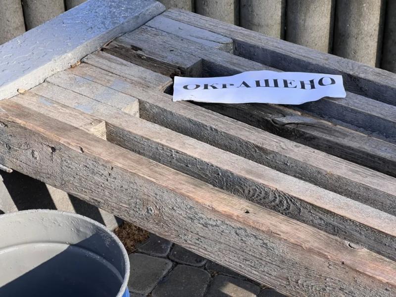 Что бы ни происходило, а весну в Новороссийске никто не отменял