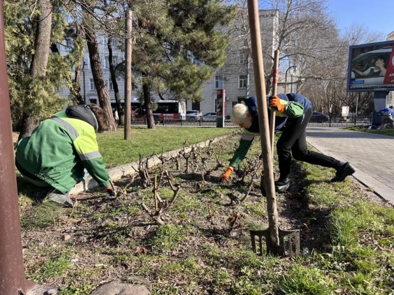 Что бы ни происходило, а весну в Новороссийске никто не отменял