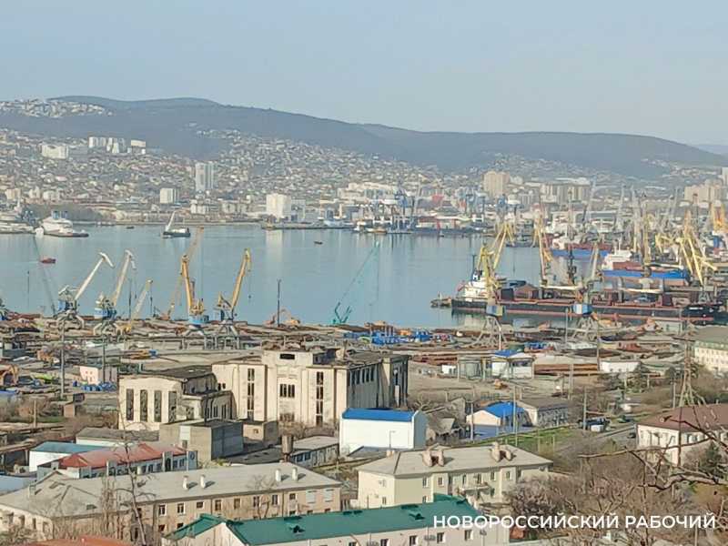 Экспортная нефть в Новороссийске стала дороже