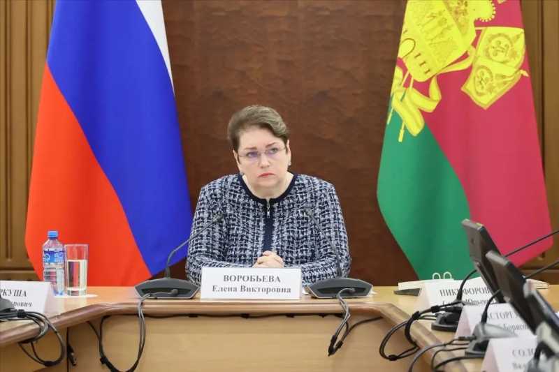 Елена Воробьева провела заседание комиссии по делам несовершеннолетних