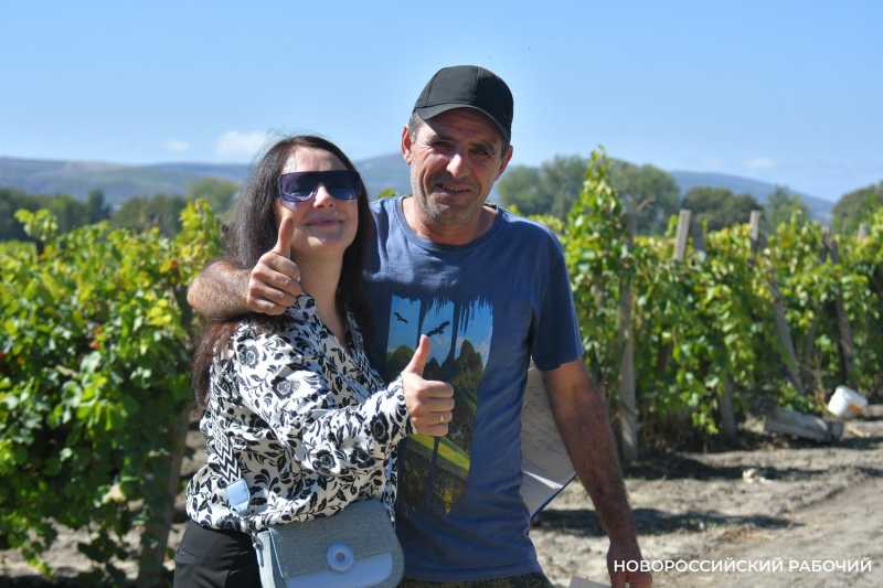 Интерес &nbsp;к винодельням Кубани растет как на дрожжах. Новороссийск &mdash; в российских лидерах!