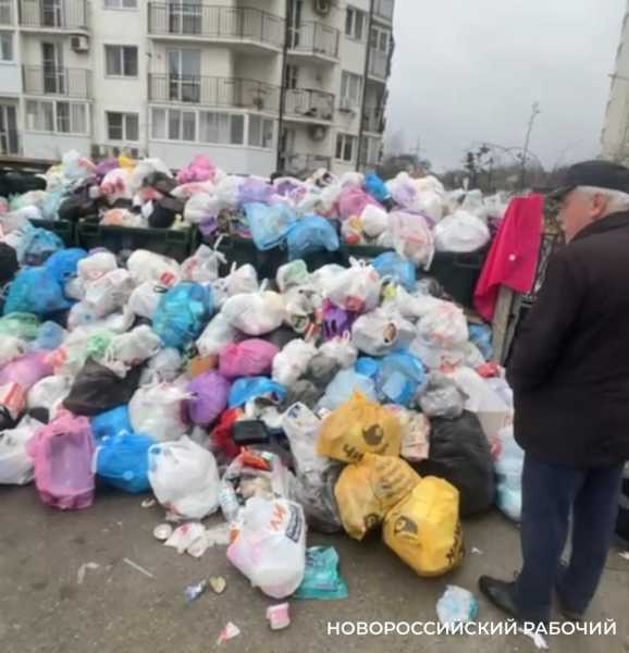 ЮРО объяснил, почему в Новороссийске не вывозят вовремя отходы и кто в этом виноват