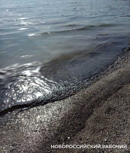 На берегу моря в Новороссийске лежит мазут и маслянистая пленка