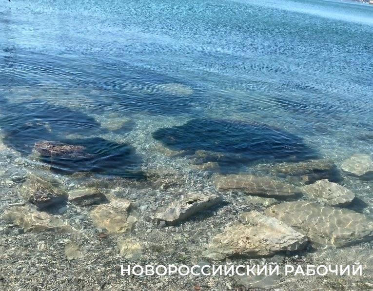 На берегу моря в Новороссийске лежит мазут и маслянистая пленка