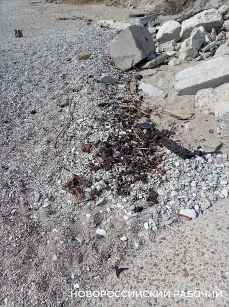 На берегу моря в Новороссийске лежит мазут и маслянистая пленка