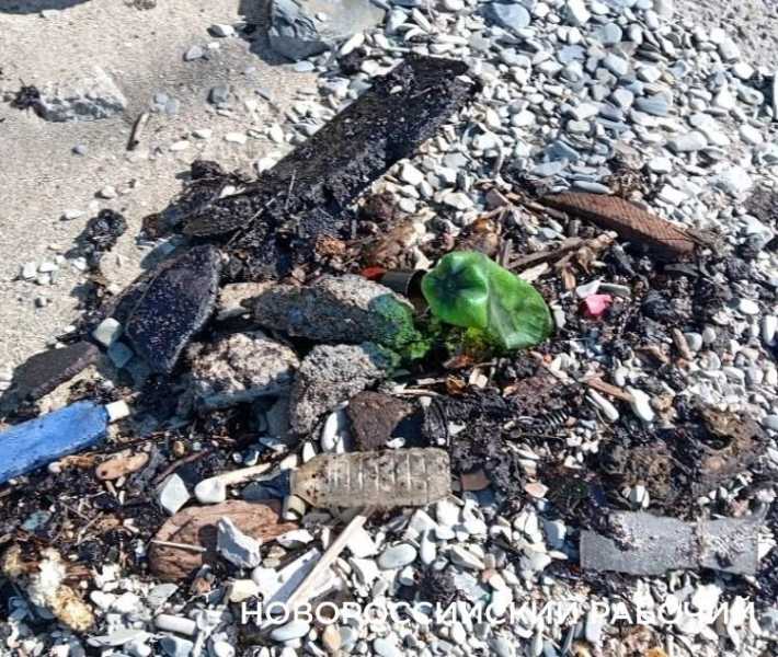 На берегу моря в Новороссийске лежит мазут и маслянистая пленка