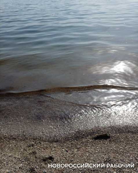 На берегу моря в Новороссийске лежит мазут и маслянистая пленка