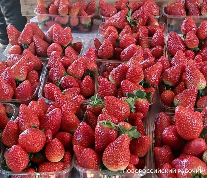 На рынках Новороссийска появилась первая клубника по 900 рублей