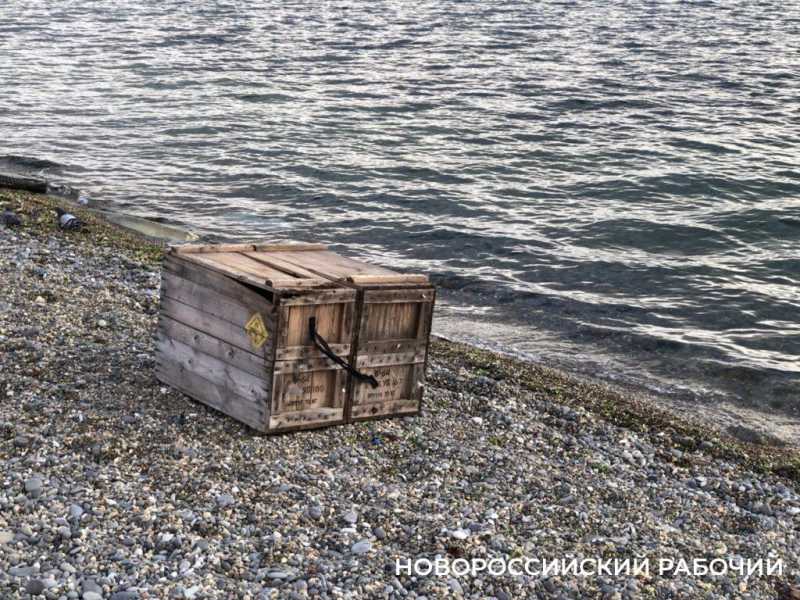 Набережная Новороссийска: умиротворение, теплеющее море и бег за здоровьем