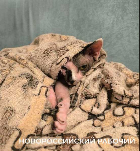 Названа дата окончания отопительного периода в Новороссийске