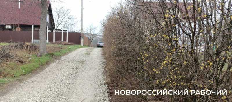 Новороссийск накрыл цветущие весенние поляны. Фоторепортаж &laquo;НР&raquo;