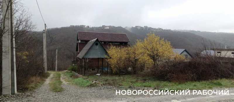 Новороссийск накрыл цветущие весенние поляны. Фоторепортаж &laquo;НР&raquo;