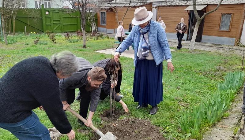 Новороссийские литераторы и юные активисты &laquo;Шхуны ровесников&raquo; высадили абрикосовые деревца во дворе дома-музея Николая Островского