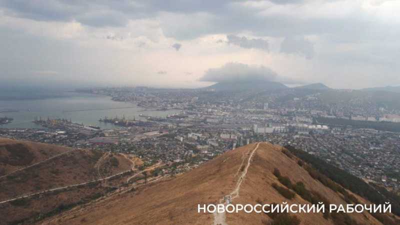 Новые виды растений, ловушки на кота и борьба за &laquo;правильного туриста&raquo;: природный парк под Новороссийском открывает свои секреты