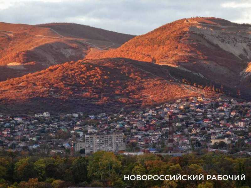 Новые виды растений, ловушки на кота и борьба за &laquo;правильного туриста&raquo;: природный парк под Новороссийском открывает свои секреты