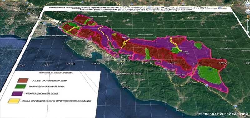 Новые виды растений, ловушки на кота и борьба за &laquo;правильного туриста&raquo;: природный парк под Новороссийском открывает свои секреты