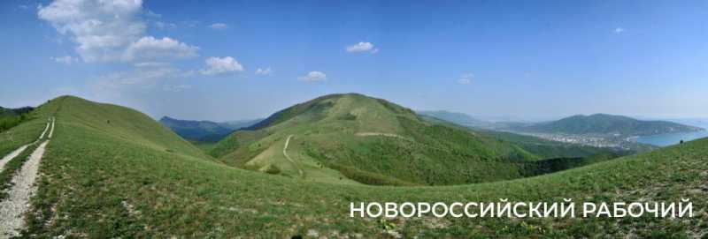 Новые виды растений, ловушки на кота и борьба за &laquo;правильного туриста&raquo;: природный парк под Новороссийском открывает свои секреты