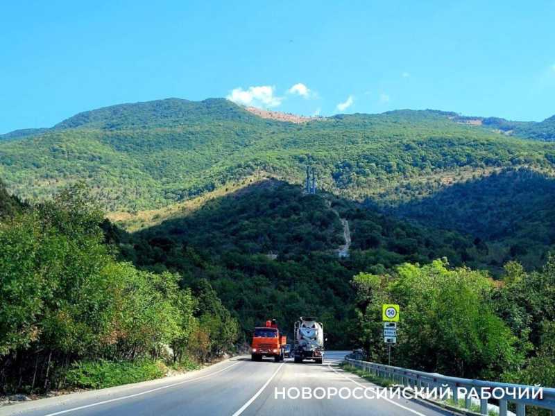 Новые виды растений, ловушки на кота и борьба за &laquo;правильного туриста&raquo;: природный парк под Новороссийском открывает свои секреты