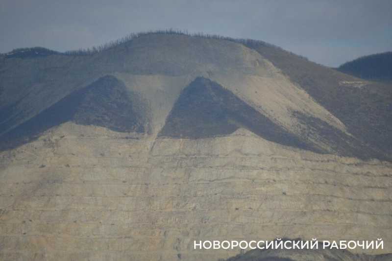 Новые виды растений, ловушки на кота и борьба за &laquo;правильного туриста&raquo;: природный парк под Новороссийском открывает свои секреты