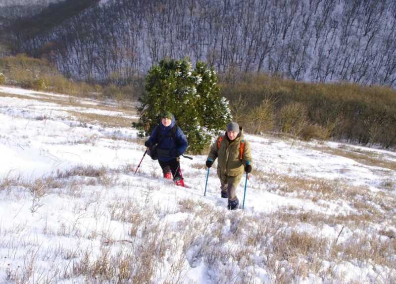Новые виды растений, ловушки на кота и борьба за &laquo;правильного туриста&raquo;: природный парк под Новороссийском открывает свои секреты