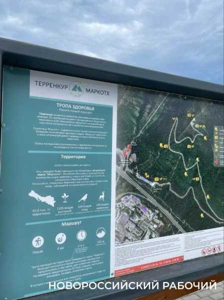 Новые виды растений, ловушки на кота и борьба за &laquo;правильного туриста&raquo;: природный парк под Новороссийском открывает свои секреты