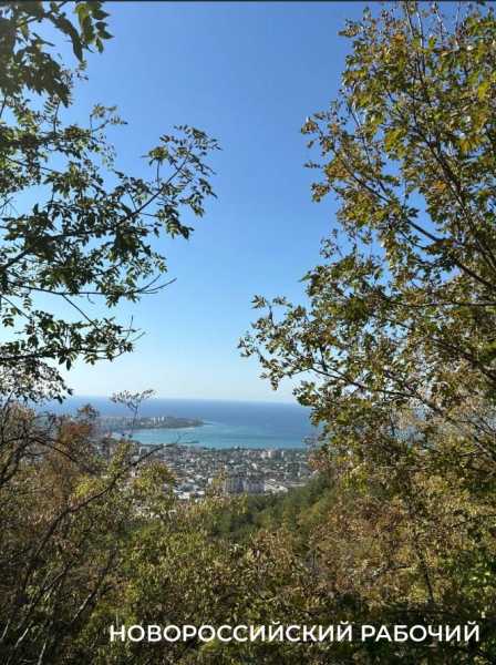 Новые виды растений, ловушки на кота и борьба за &laquo;правильного туриста&raquo;: природный парк под Новороссийском открывает свои секреты