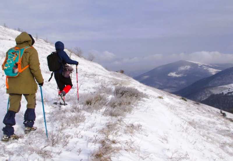 Новые виды растений, ловушки на кота и борьба за &laquo;правильного туриста&raquo;: природный парк под Новороссийском открывает свои секреты