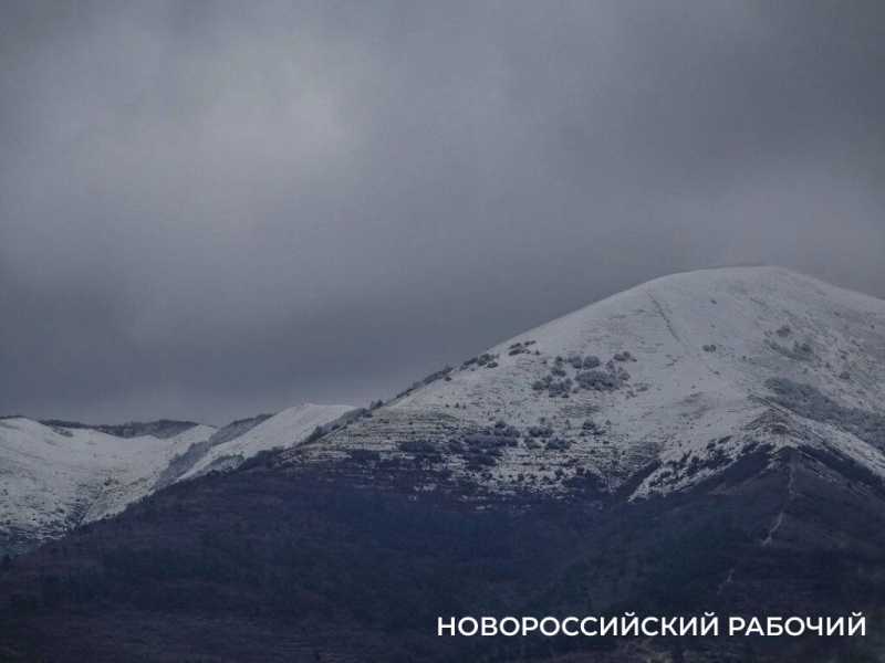 Новые виды растений, ловушки на кота и борьба за &laquo;правильного туриста&raquo;: природный парк под Новороссийском открывает свои секреты