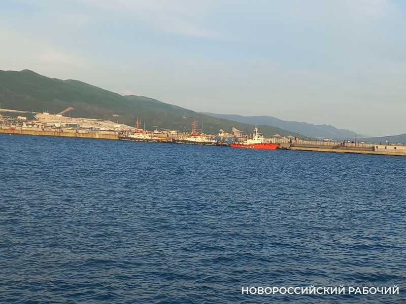 Объемы экспорта нефти после атак ВСУ в порту Новороссийска будут восстанавливать