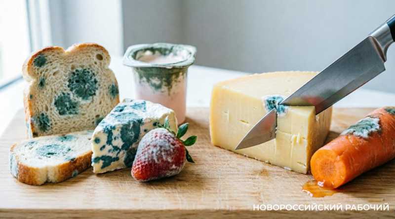 Плесень на еде: срезать или выбросить? Разбираемся вместе