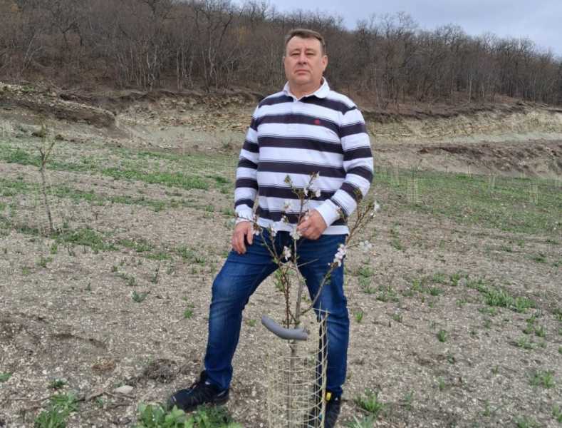 Под Новороссийском зацвел молодой миндальный сад Владимира Орехова
