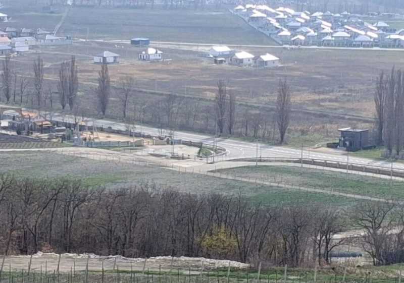 Под Новороссийском зацвел молодой миндальный сад Владимира Орехова