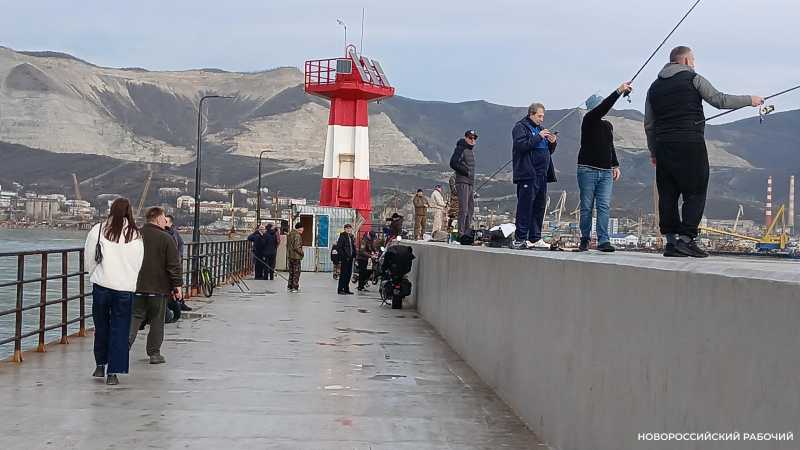 Рыбаки Новороссийска добывали кефаль и тунца