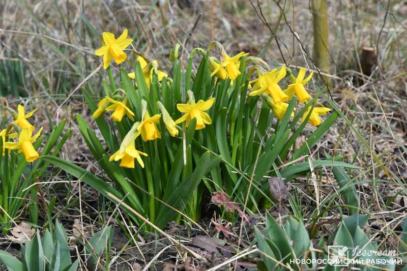 Совет дня на 1 марта: молитва о любви будет услышана