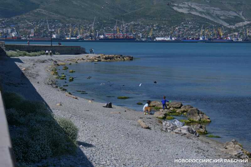 Совет дня на 11 марта: не тупи!