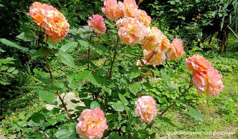 Совет дня на 18 марта: созидайте &ndash; сил хватит на всё!