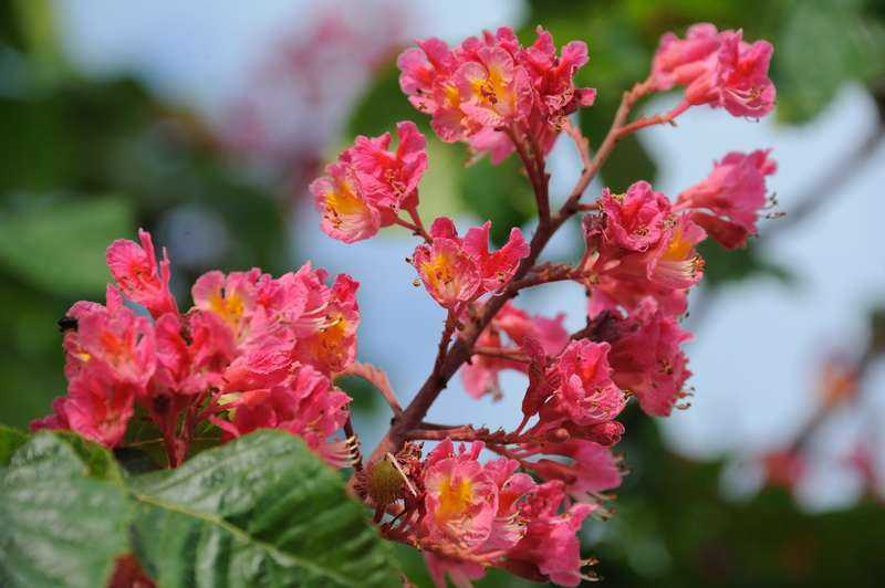 Совет дня на 22 марта: пересмотрите свои планы