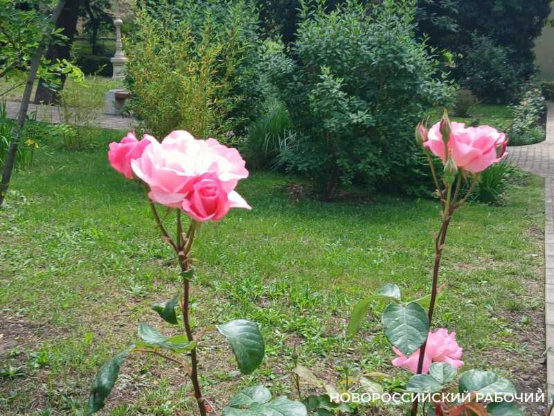 Совет дня на 5 марта: лежать &ndash; гулять &ndash; читать. Лови момент!