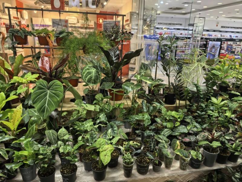 Совет дня на 7 марта: поголодайте &ndash; сегодня это полезно как никогда