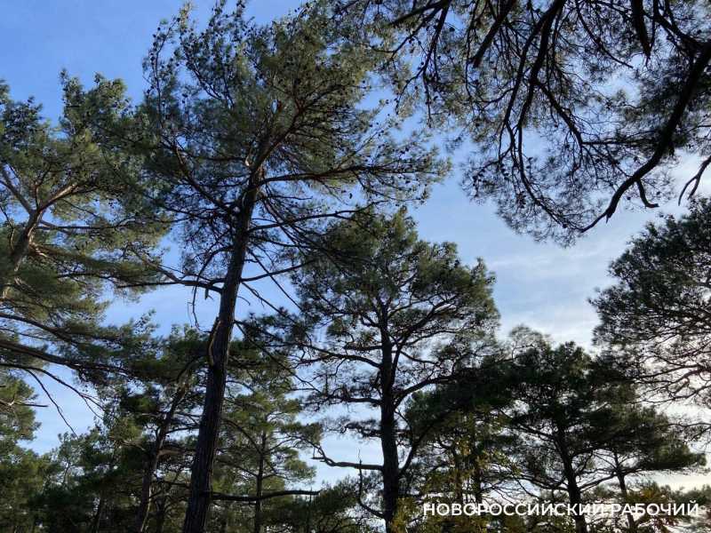 Советы дня на 21 марта: настройтесь на успех, и всё получится