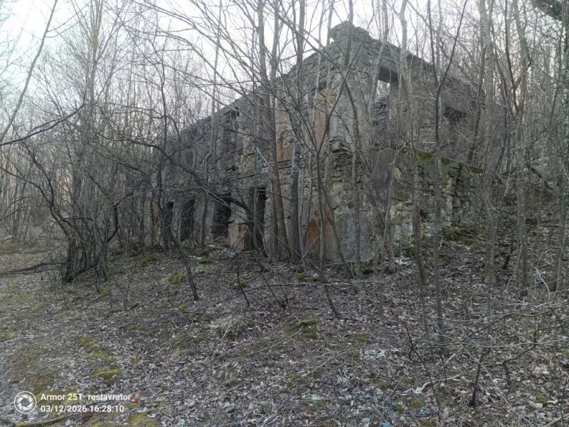 &laquo;У меня есть план по выживанию, я взяла хлеб и воду&raquo;. В Новороссийске ищут Лизу, которая ушла из дома 10 марта